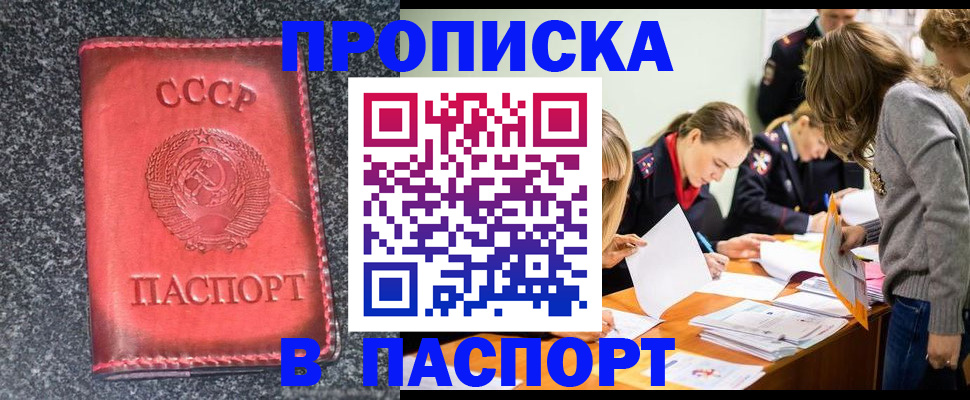 прописка для школы в Вологодской области